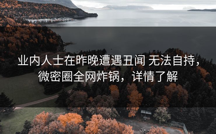 业内人士在昨晚遭遇丑闻 无法自持，微密圈全网炸锅，详情了解
